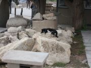 i/Kranj/Absolvent08/01-PotTja/absolvent 1227.jpg